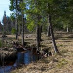Grimsås (37 av 201)